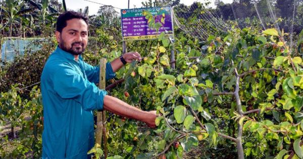বিচিহীন কুলে স্বাবলম্বী নাসির