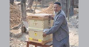মৌমাছি চাষে সফল নওগাঁর খলিলুর