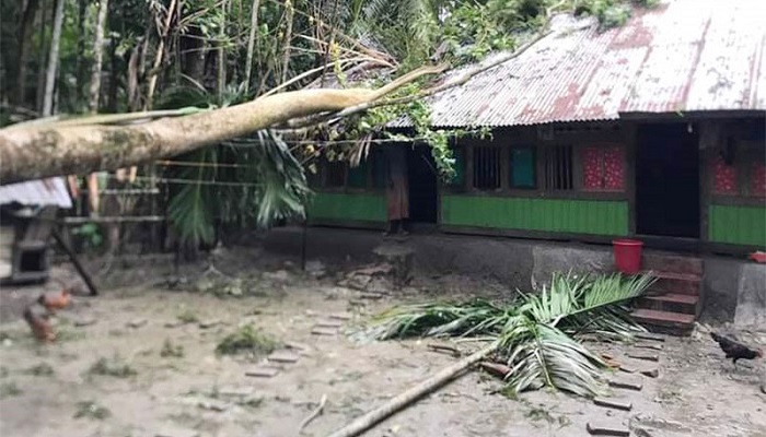 ভাণ্ডারিয়ায় বিধ্বস্ত প্রায় অর্ধশতাধিক বসতঘর