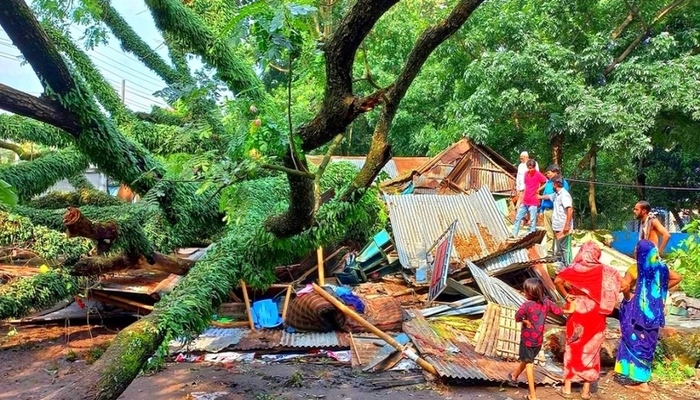 ঘূর্ণিঝড় সিত্রাং: দেশজুড়ে ৩৫ জনের প্রাণহানি