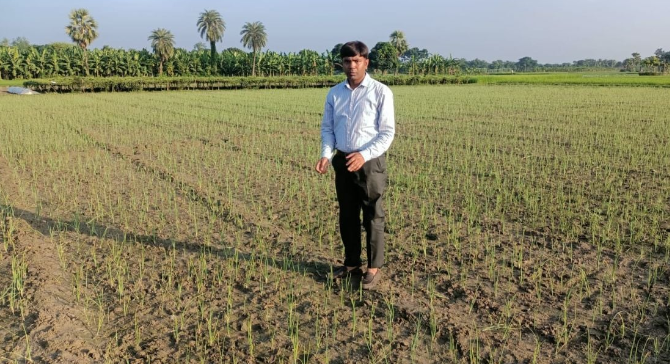 শফিকুলের কৃষি বিপ্লব