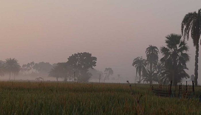 কমতে পারে দিন ও রাতের তাপমাত্রা 