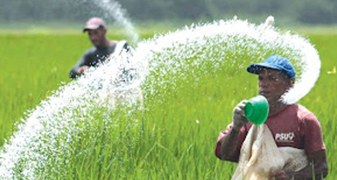 এক লাখ ৩০ হাজার টন সার কিনবে সরকার