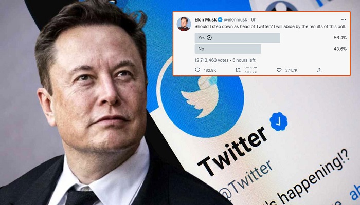 সিইও পদ নিয়ে মতামত চেয়েছেন ইলন মাস্ক!