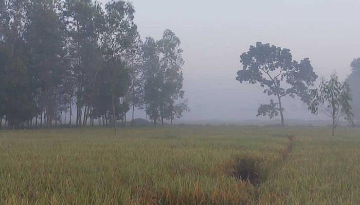 দেশের সর্বনিম্ন তাপমাত্রা ১১.৯ ডিগ্রি