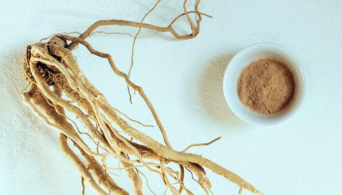 নিয়মিত খাবেন যেসব আয়ুর্বেদিক খাবার